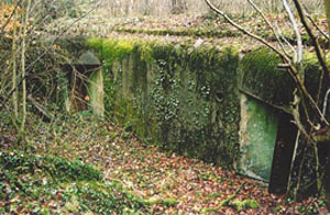 Central d'observation du Bichel