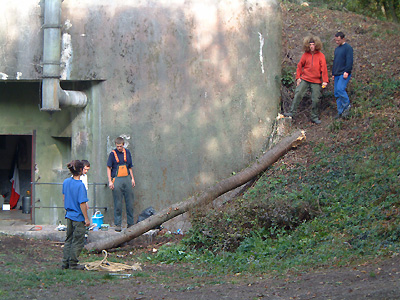 Les scouts en action